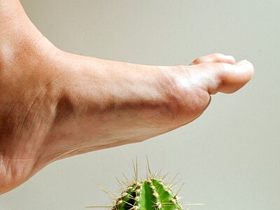 Nahaufnahme: Ein nackter Fuß schwebt dicht über einem stacheligen Kaktus – drohende Verletzungsgefahr beim Auftreten.