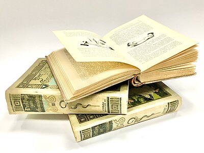 Ein aufgeschlagenes, illustriertes Buch liegt quer auf zwei weiteren alten, gebundenen Büchern. Sichtbar sind vergilbte Seiten mit Text und Zeichnungen. Heller, neutraler Hintergrund.